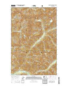 Downey Mountain 2014 topographic map thumbnail