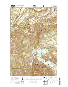 Eatonville 2014 topographic map thumbnail