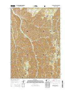 Eckler Mountain 2014 topographic map thumbnail