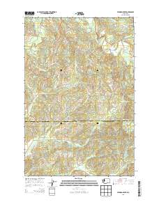 Elkhorn Creek 2013 topographic map thumbnail