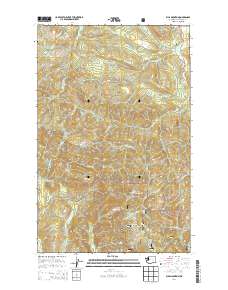 Ellis Mountain 2014 topographic map thumbnail