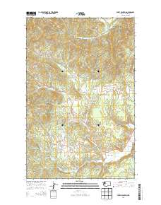 Empey Mountain 2014 topographic map thumbnail