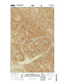 Gee Point 2014 topographic map preview
