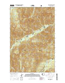 Goose Prairie 2014 topographic map thumbnail