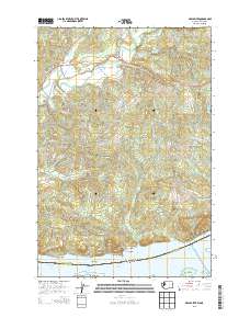 Grays River 2013 topographic map thumbnail