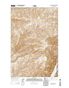 Jameson Lake SE 2014 topographic map thumbnail