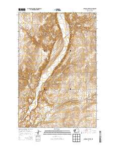 Jameson Lake SW 2014 topographic map thumbnail