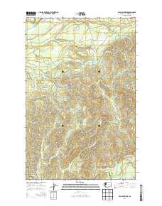 Kalaloch Ridge 2014 topographic map thumbnail