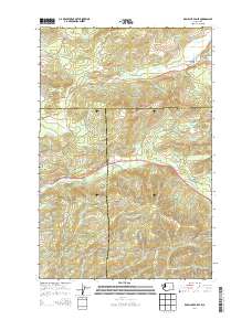 Kamilche Valley 2014 topographic map thumbnail
