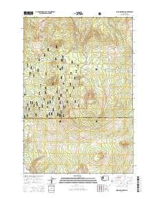 King Mountain 2014 topographic map thumbnail