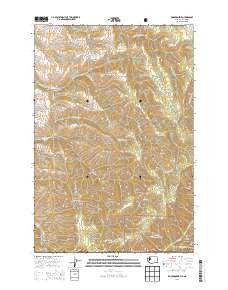 Kooskooskie 2014 topographic map thumbnail