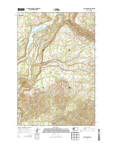 Lake Kapowsin 2013 topographic map thumbnail
