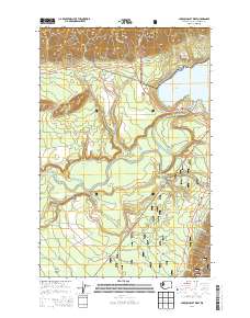 Lake Quinault West 2014 topographic map thumbnail
