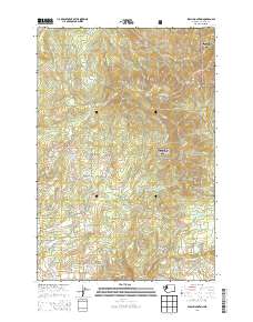 Larch Mountain 2014 topographic map thumbnail