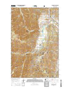 Leavenworth 2014 topographic map thumbnail