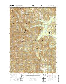 Lookout Mountain 2014 topographic map thumbnail