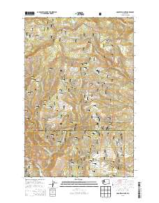 Manastash Lake 2013 topographic map thumbnail
