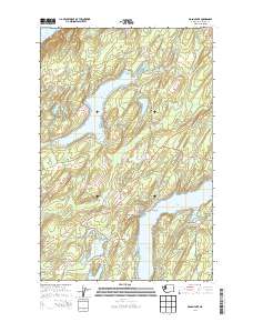 Mason Lake 2014 topographic map thumbnail