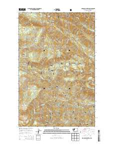Meadow Mountain 2014 topographic map thumbnail