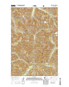 Monte Cristo 2014 topographic map thumbnail