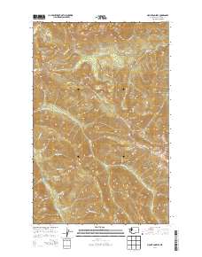 Mount Angeles 2014 topographic map thumbnail