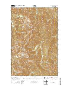 Mount Queets 2014 topographic map thumbnail