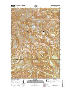 Mount Rainier East 2014 topographic map thumbnail