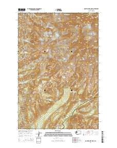 Mount Rainier West 2014 topographic map thumbnail