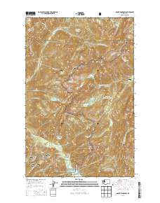 Mount Skokomish 2014 topographic map thumbnail
