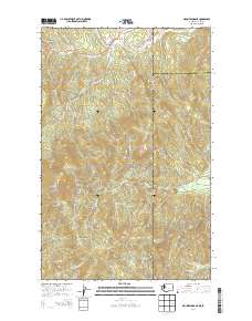 Mount Spokane 2014 topographic map thumbnail