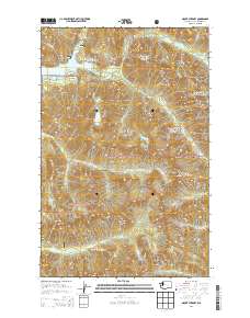 Mount Stickney 2014 topographic map thumbnail
