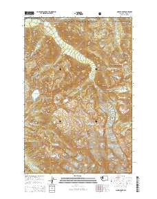 Mowich Lake 2014 topographic map thumbnail
