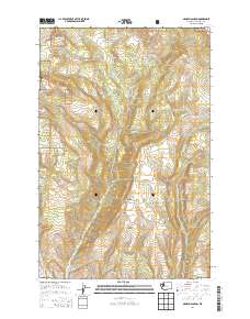 Naneum Canyon 2014 topographic map thumbnail