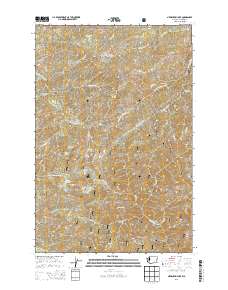 Newaukum Lake 2013 topographic map thumbnail