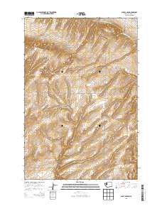 Nine Canyon 2013 topographic map thumbnail