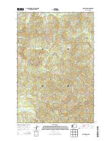 North Nemah 2013 topographic map thumbnail