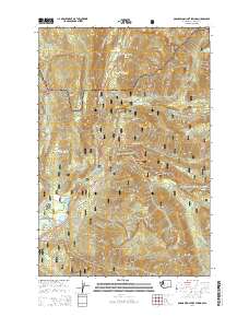 Ohanapecosh Hot Springs 2014 topographic map thumbnail