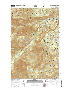 Old Scab Mountain 2014 topographic map thumbnail