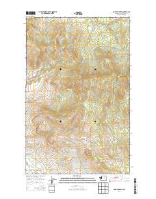 Omak Mountain 2014 topographic map thumbnail