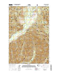 Packwood 2014 topographic map thumbnail