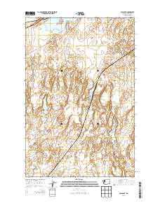 Palm Lake 2013 topographic map thumbnail