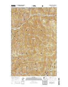 Pearrygin Peak 2014 topographic map thumbnail
