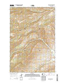 Pine Mountain 2014 topographic map thumbnail