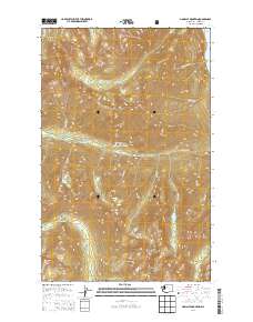 Pinnacle Mountain 2014 topographic map thumbnail