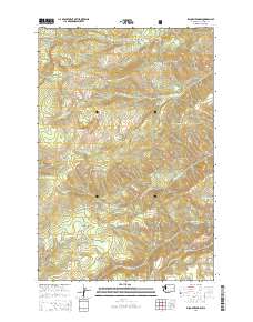 Piscoe Meadow 2014 topographic map thumbnail