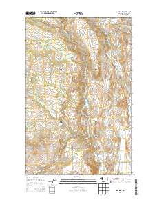 Rat Lake 2014 topographic map thumbnail