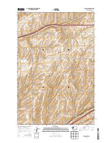 Reiman SE 2013 topographic map thumbnail