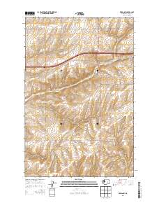 Reiman SW 2013 topographic map thumbnail