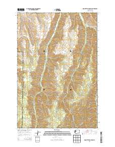 Robinette Mountain 2013 topographic map thumbnail