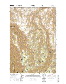 Rose Springs 2013 topographic map thumbnail